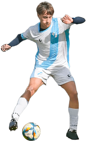 Player asset mobile