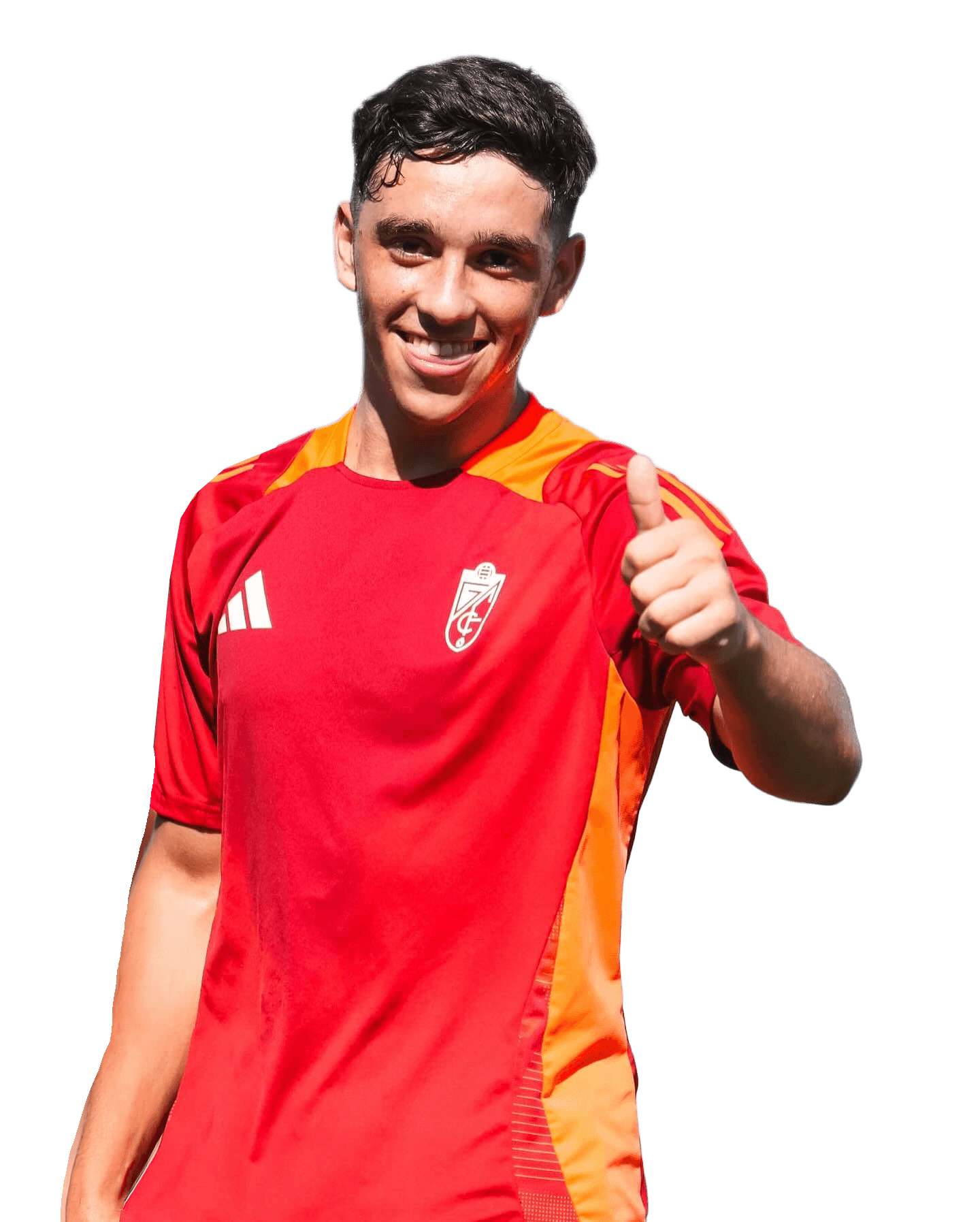 Player asset mobile