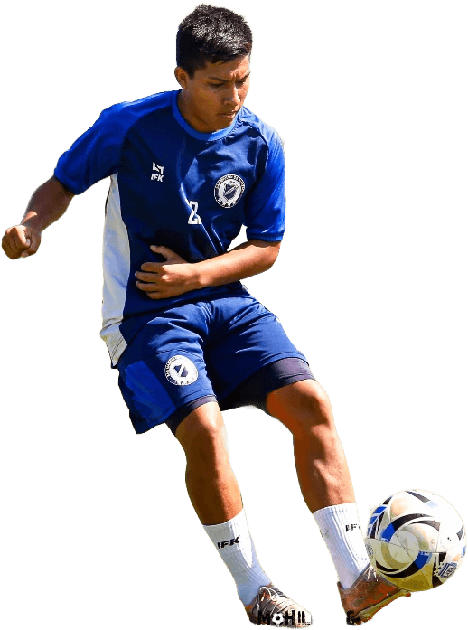 Player asset mobile
