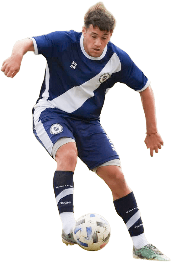 Player asset mobile