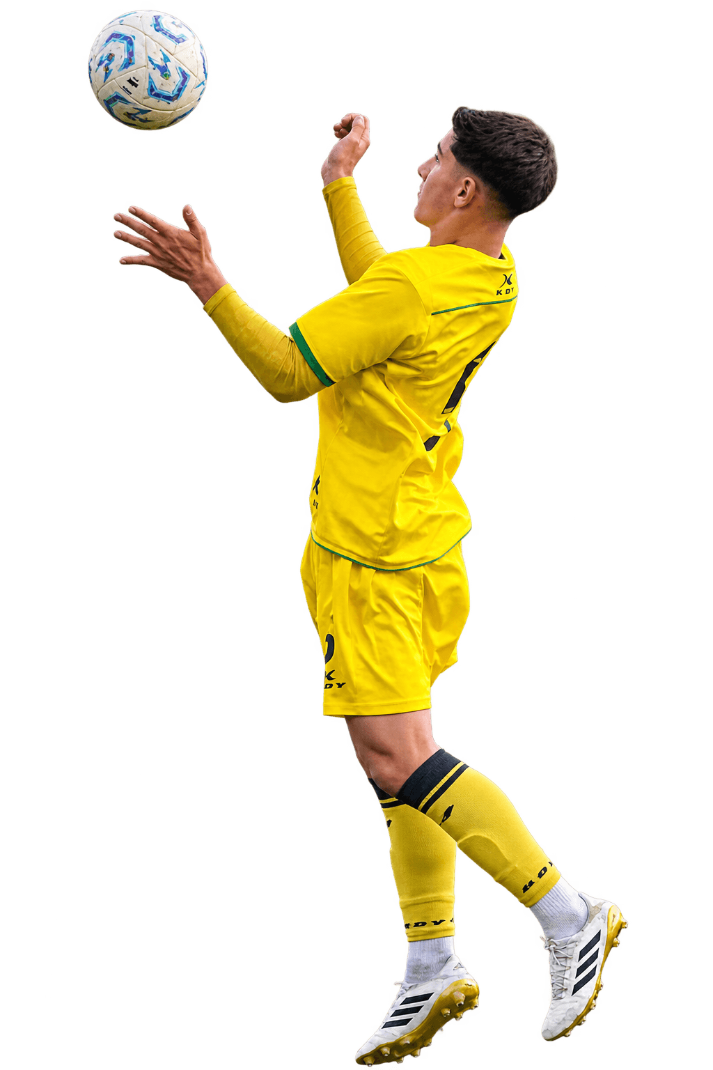 Player asset mobile